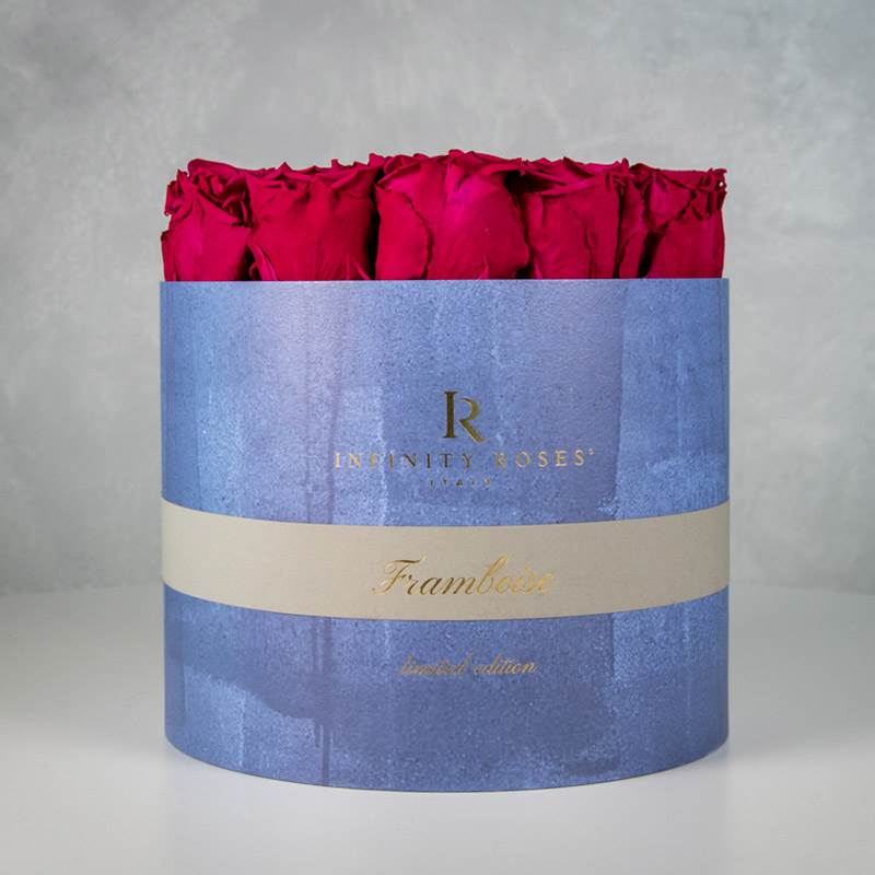 Collection Paris with Framboise Rose